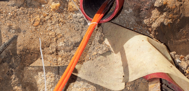 隱形眼鏡護理液檢測