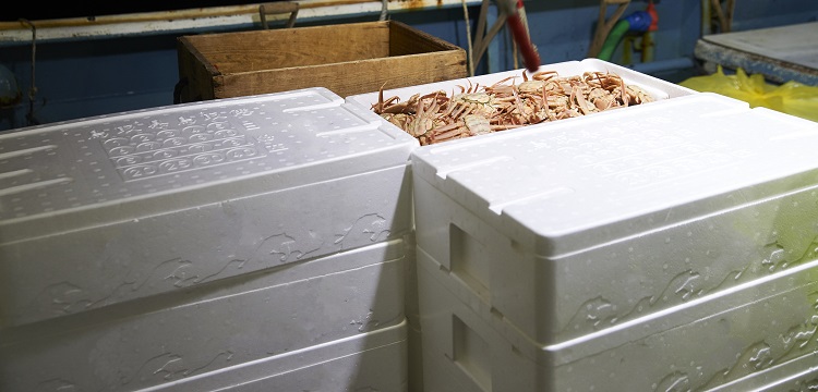 求問毒理未來的前景在何方 ?關于第三檢測行業，食品檢測、消費品檢測和環境檢測，業務的開發方向有什么差異。 