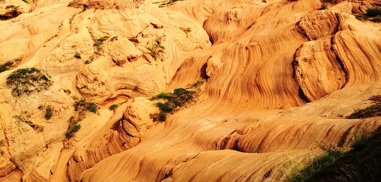 殺蟲劑第三方檢測機(jī)構(gòu)：殺蟲劑檢測有哪些項(xiàng)目 