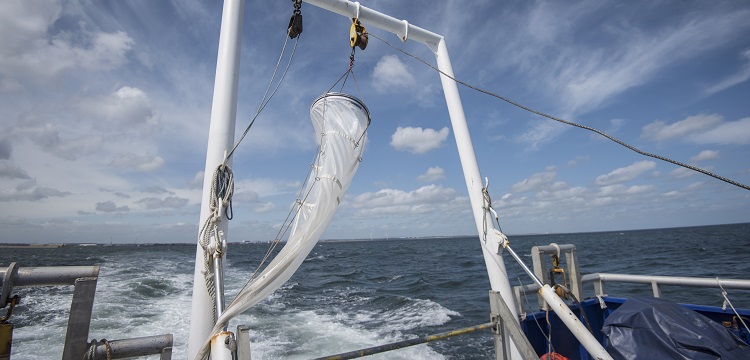 食品接觸材料檢測項(xiàng)目大匯總！