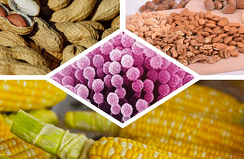 新買(mǎi)的冰箱怎么進(jìn)行檢測(cè)?口腔清潔產(chǎn)品檢測(cè)?健明迪