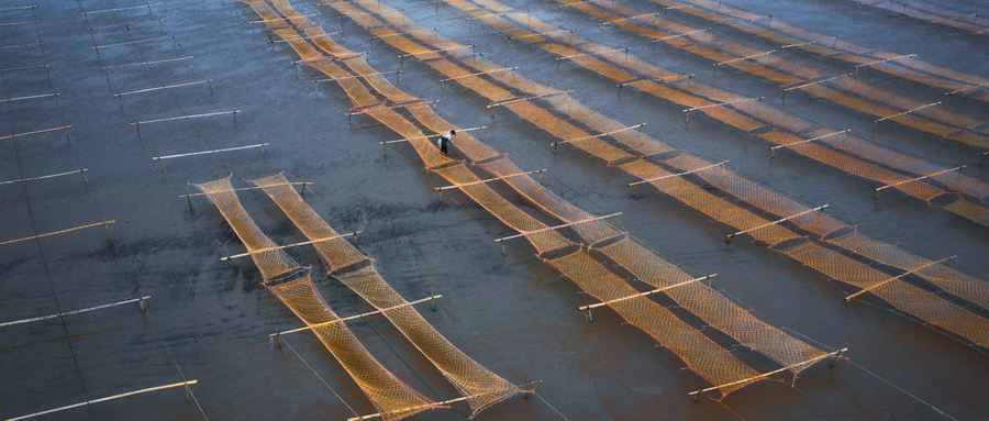 海洋漁業資源調查