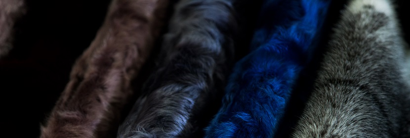 毛皮抗張強度試驗