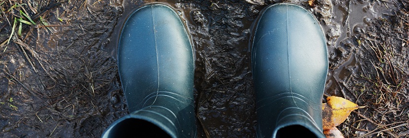 硬質(zhì)橡膠耐熱溫度試驗