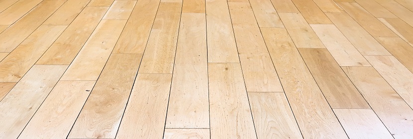 漆膜抗藻性試驗