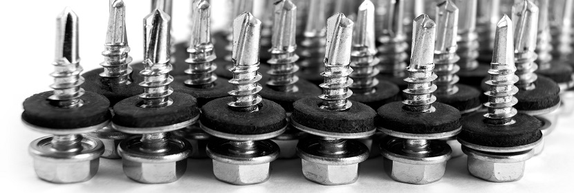 抗霉性試驗(yàn)