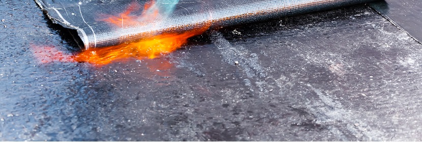 DOCA高鹽誘導(dǎo)主動脈瘤小鼠模型