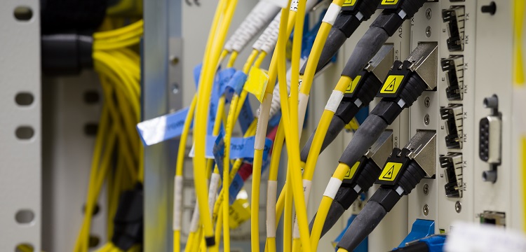 不可溶性糖測定