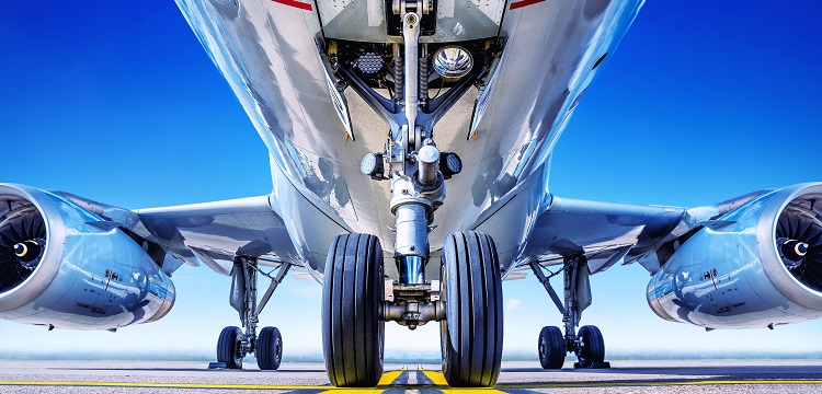 肌營養不良小鼠模型