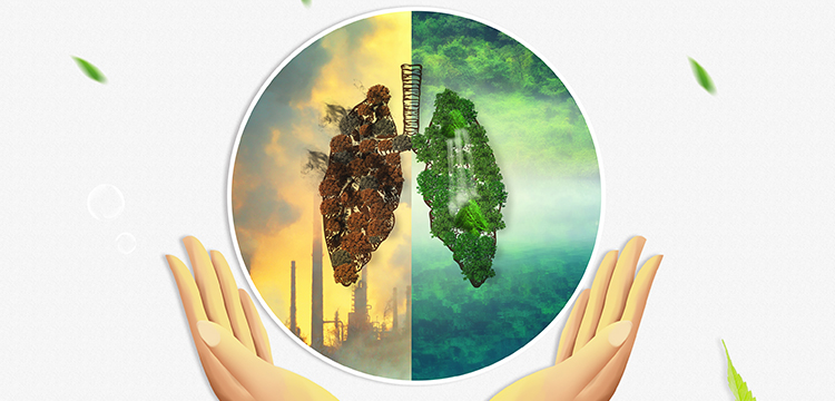 肉桂酸鉀檢測(cè)