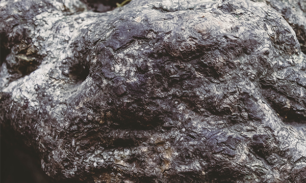 二硝基氯苯檢測(cè)