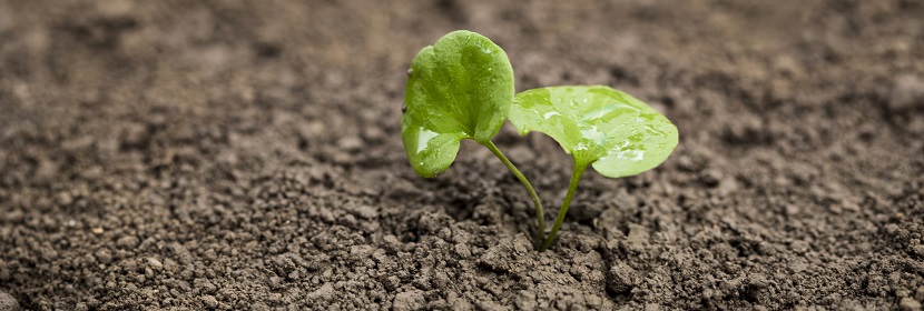 農(nóng)藥分散性測定