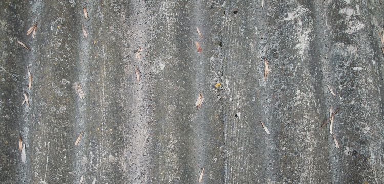 塑料箱檢測(cè)