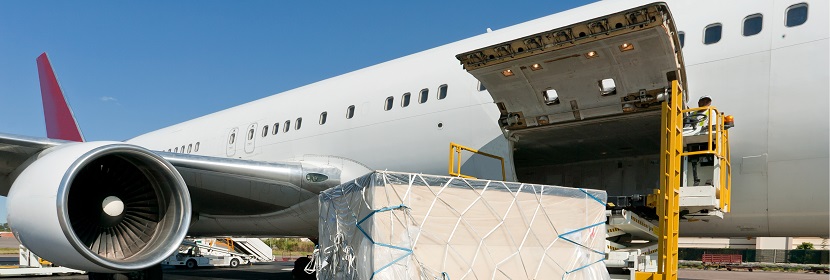 有機(jī)黃瓜檢測(cè)