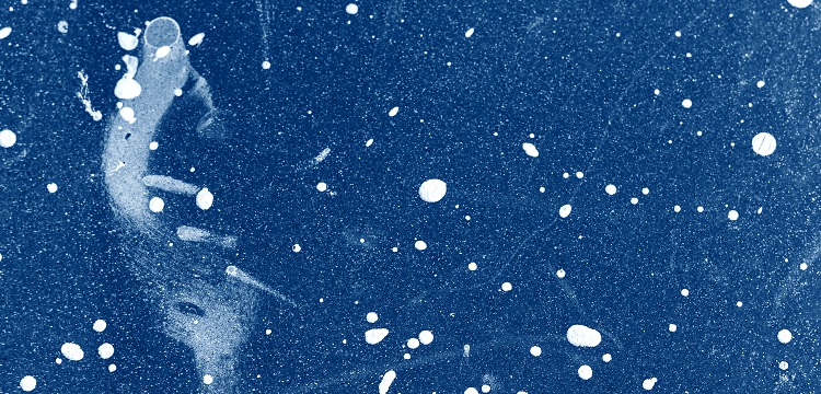 引張強(qiáng)度測(cè)試