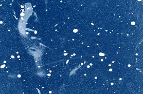 引裂強(qiáng)度測(cè)試