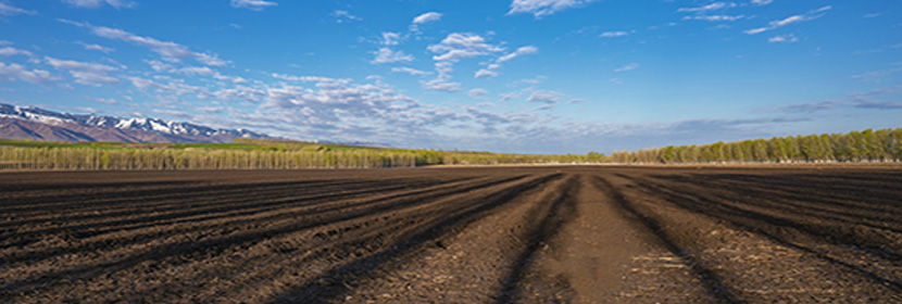 剝離粘結(jié)性測定
