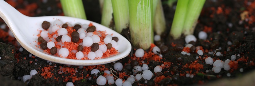 硫包衣尿素檢測