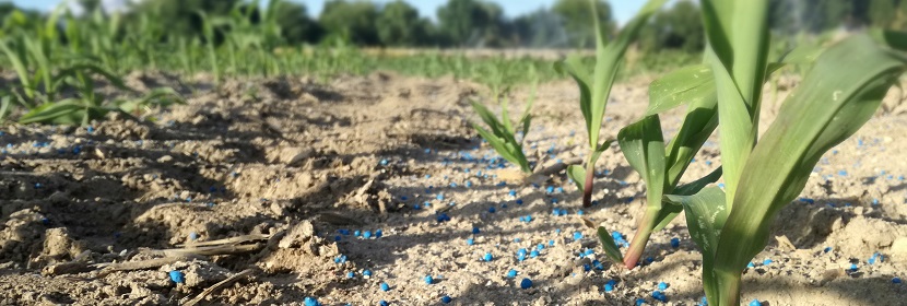 無機包裹型復混肥料檢測