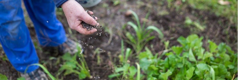 控釋摻混肥料檢測(cè)