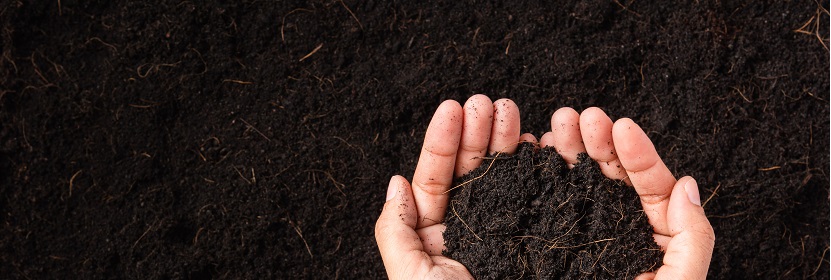 含腐植酸尿素檢測(cè)