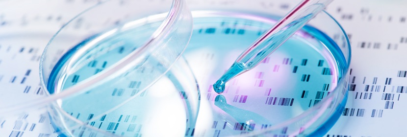 化妝品細胞染色體畸變試驗