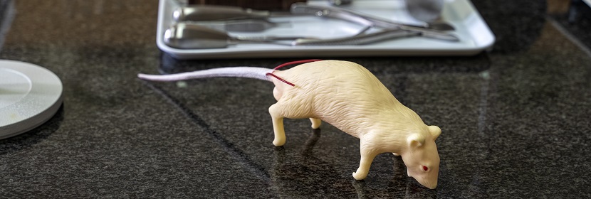 化妝品皮膚光毒性試驗