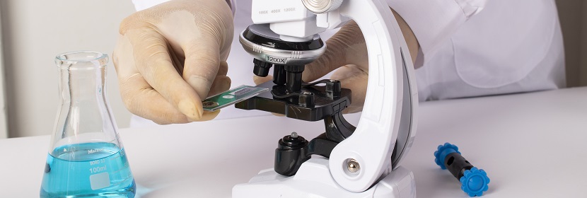 化妝品體外哺乳動物細(xì)胞微核試驗