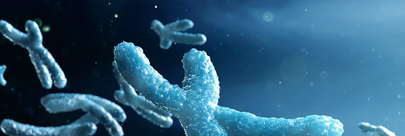 化妝品哺乳動物骨髓細(xì)胞染色體畸變試驗