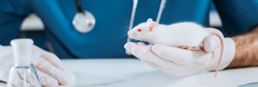 手消毒劑致突變試驗