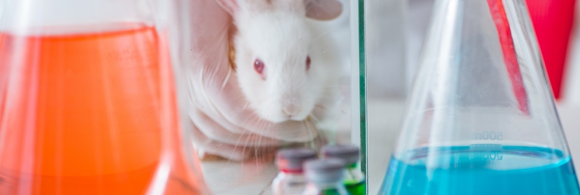 空氣消毒劑急性吸入毒性試驗