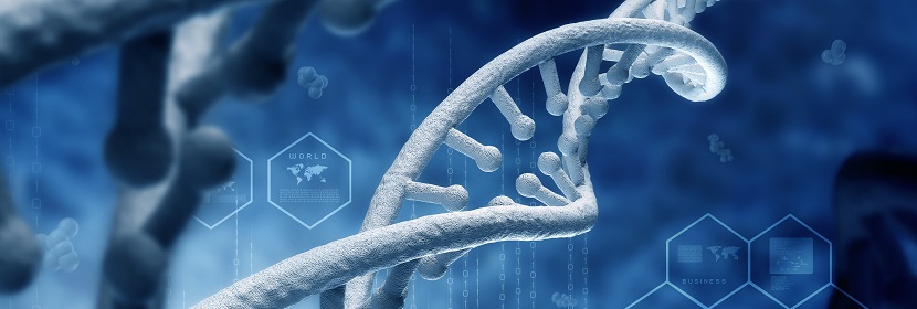 化學(xué)品染色體畸變?cè)囼?yàn)