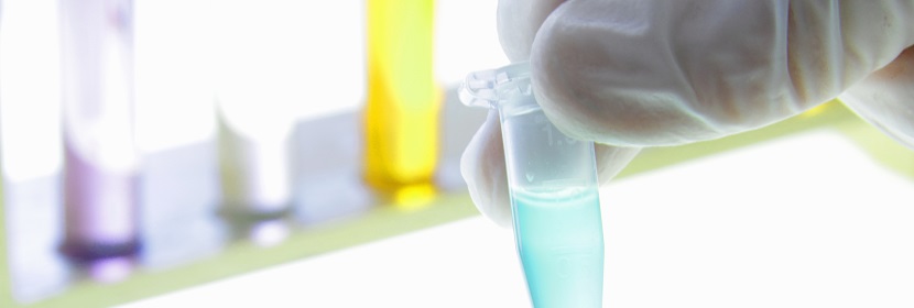 遂昌竹炭檢測(cè)