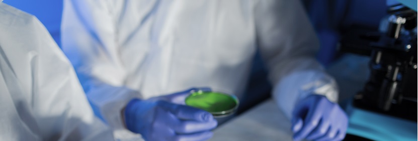 發(fā)泡聚丙烯(PP-E)珠粒檢測(cè)